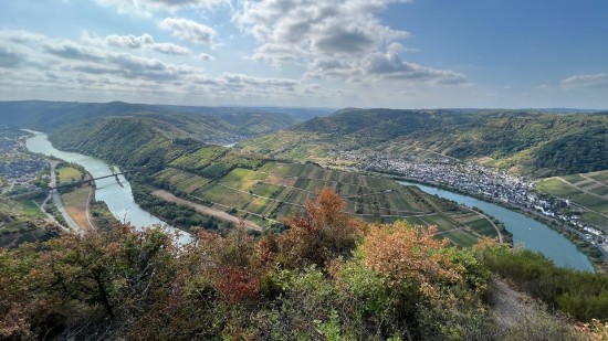 zum Bericht zum Bericht
